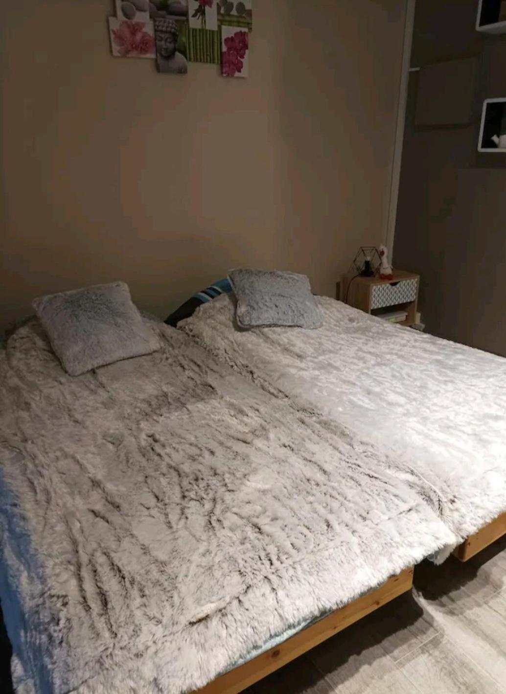 Le Cocon De Sausheim Quarto foto
