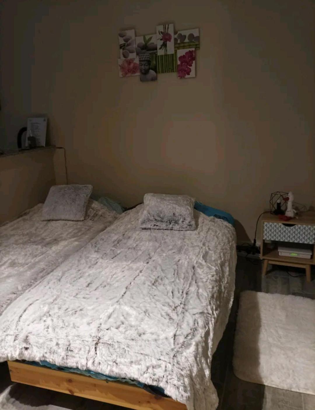 Le Cocon De Sausheim Quarto foto